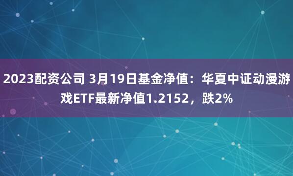 2023配资公司 3月19日基金净值：华夏中证动漫游戏ETF最新净值1.2152，跌2%