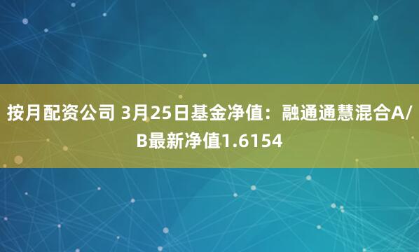 按月配资公司 3月25日基金净值：融通通慧混合A/B最新净值1.6154