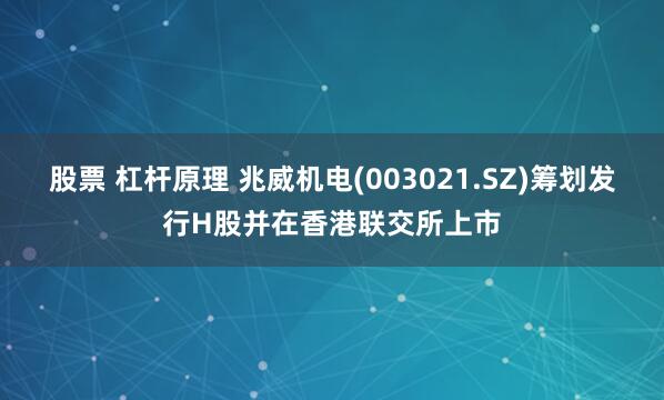 股票 杠杆原理 兆威机电(003021.SZ)筹划发行H股并在香港联交所上市