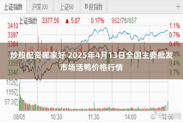 炒股配资哪家好 2025年4月13日全国主要批发市场活鸭价格行情