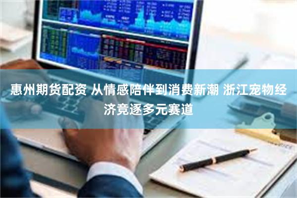 惠州期货配资 从情感陪伴到消费新潮 浙江宠物经济竞逐多元赛道
