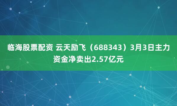 临海股票配资 云天励飞（688343）3月3日主力资金净卖出2.57亿元