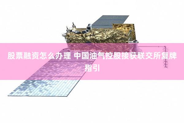股票融资怎么办理 中国油气控股接获联交所复牌指引