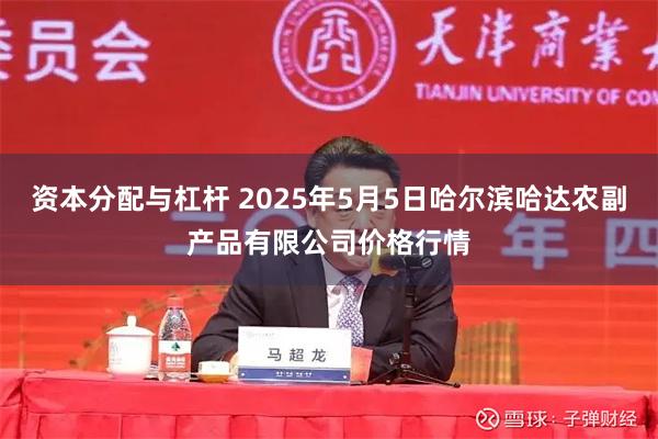 资本分配与杠杆 2025年5月5日哈尔滨哈达农副产品有限公司价格行情