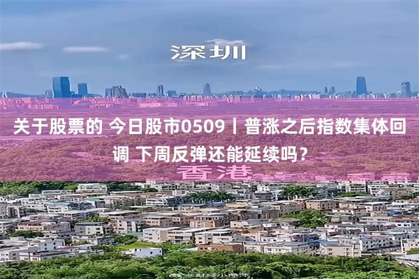 关于股票的 今日股市0509丨普涨之后指数集体回调 下周反弹还能延续吗？