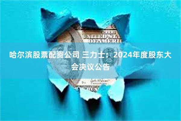 哈尔滨股票配资公司 三力士：2024年度股东大会决议公告