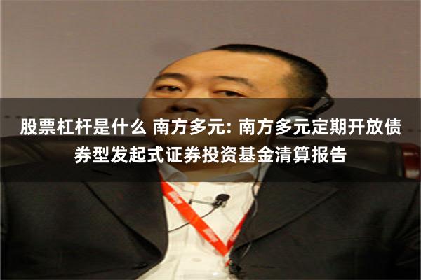 股票杠杆是什么 南方多元: 南方多元定期开放债券型发起式证券投资基金清算报告