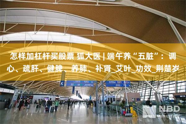 怎样加杠杆买股票 狐大医 | 端午养“五脏”：调心、疏肝、健脾、养肺、补肾_艾叶_功效_荆楚岁