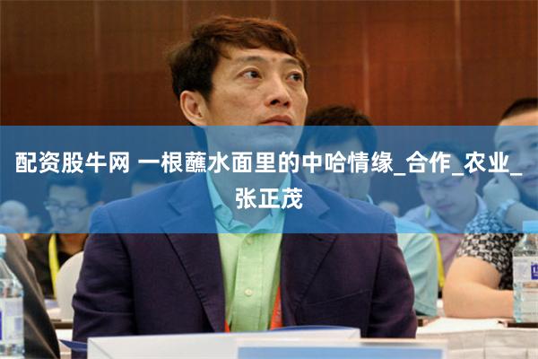 配资股牛网 一根蘸水面里的中哈情缘_合作_农业_张正茂
