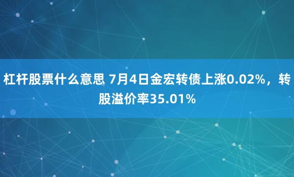 杠杆股票什么意思 7月4日金宏转债上涨0.02%，转股溢价率35.01%