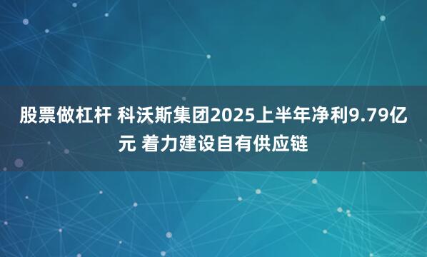 股票做杠杆 科沃斯集团2025上半年净利9.79亿元 着力建设自有供应链
