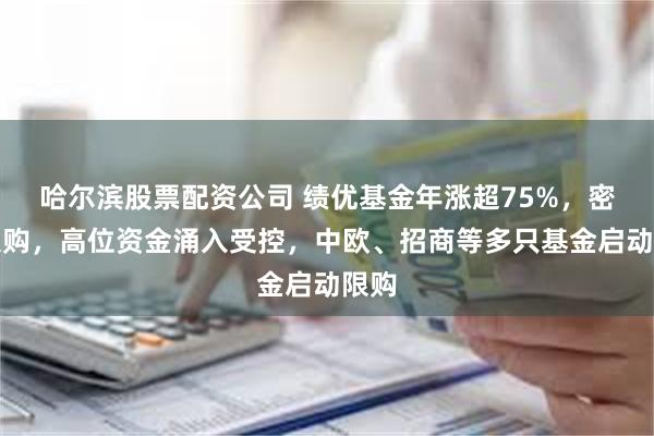 哈尔滨股票配资公司 绩优基金年涨超75%，密集限购，高位资金涌入受控，中欧、招商等多只基金启动限购
