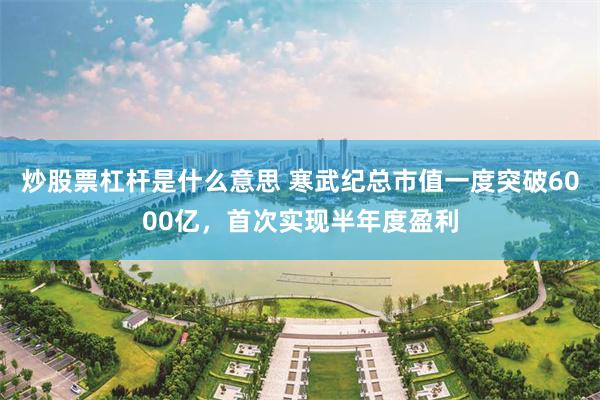 炒股票杠杆是什么意思 寒武纪总市值一度突破6000亿，首次实现半年度盈利